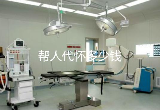 帮人代怀多少钱