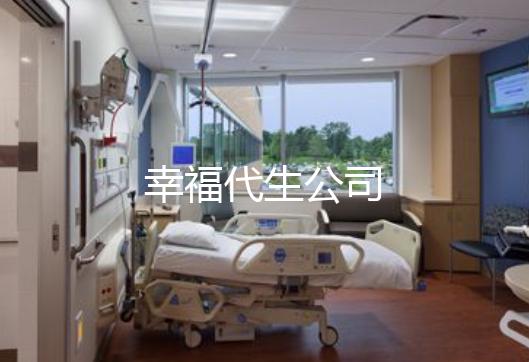 幸福代生公司